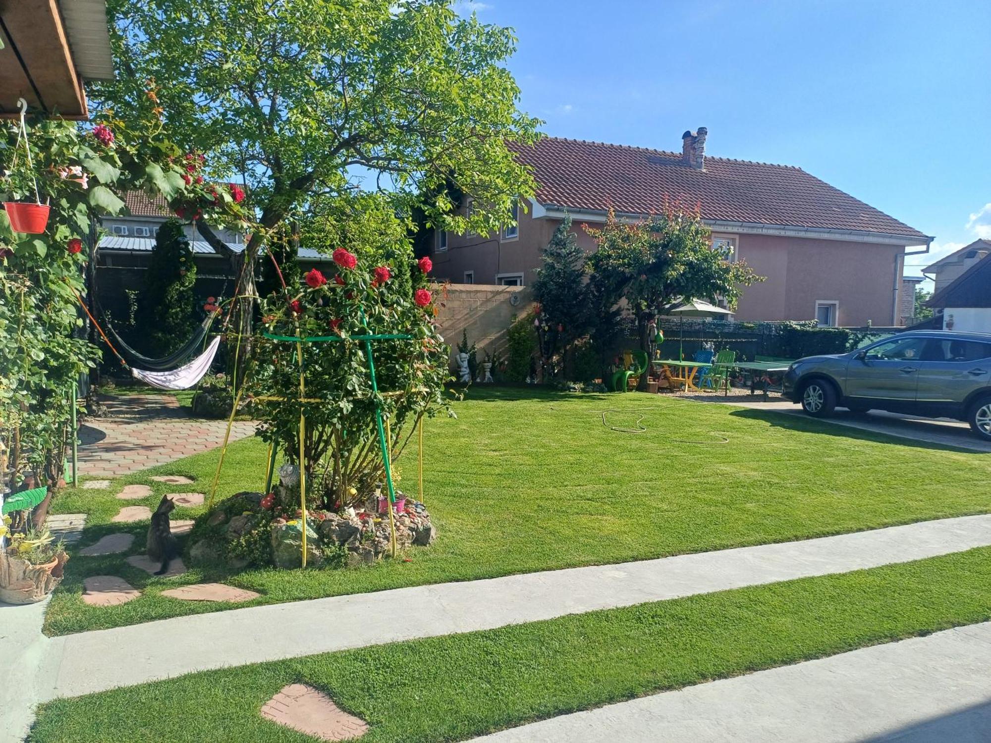 Casa Marinela Hotell Băile Felix Exteriör bild