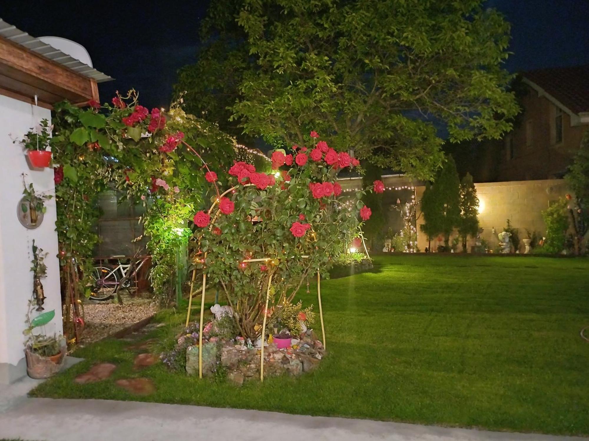 Casa Marinela Hotell Băile Felix Exteriör bild